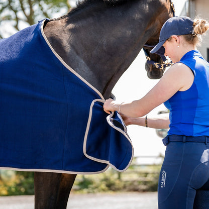 Elevate Show Rug
