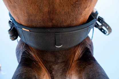 Ventus Air Girth No elastic